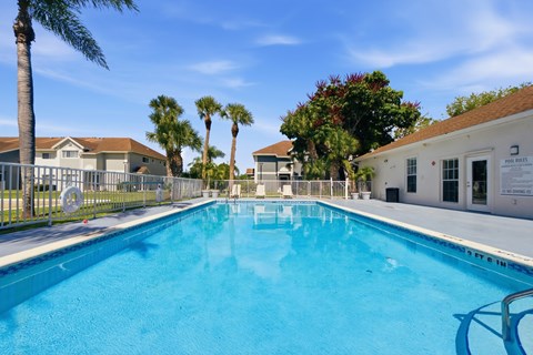 A large swimming pool surrounded by palm trees and residential buildings.