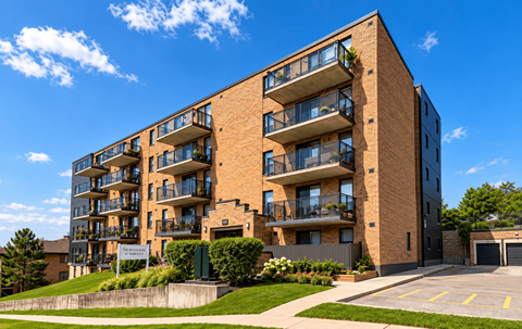 114 Anne Street North Studio-3 Beds Apartment for Rent