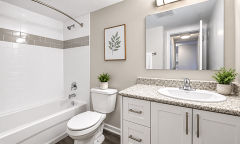 114 Anne Street North Studio-3 Beds Apartment for Rent