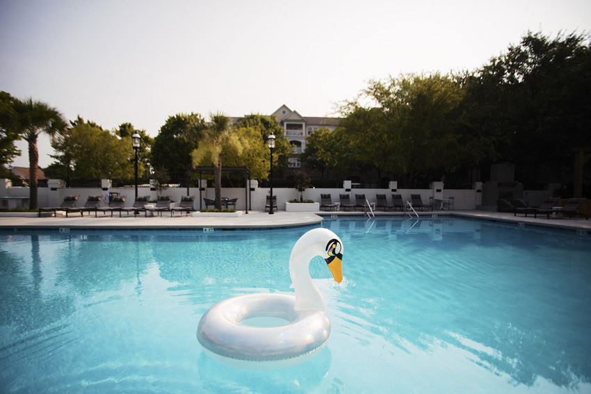 a swan float in a pool at the resort