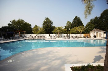 16725 Birkdale Commons Pkwy Studio-3 Beds Apartment for Rent - Photo Gallery 5