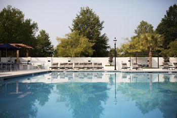 16725 Birkdale Commons Pkwy Studio-3 Beds Apartment for Rent - Photo Gallery 4