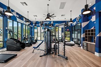 A gym with a variety of equipment including a treadmill, a bench, and a weight machine.