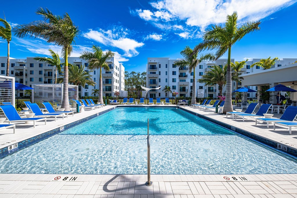 A swimming pool surrounded by palm trees and lounge chairs.