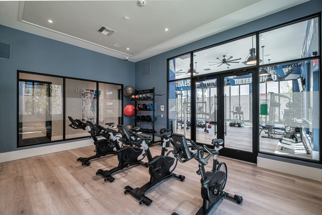 A gym with a row of stationary bikes.