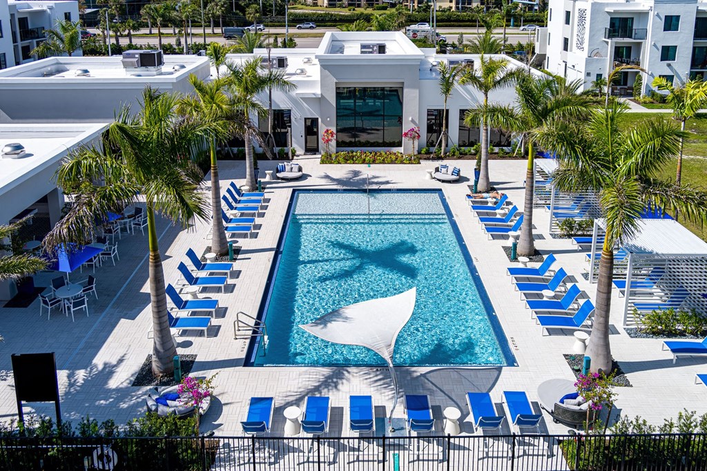 A pool surrounded by blue lounge chairs and palm trees.