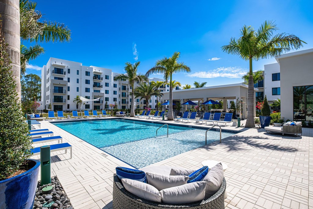 A pool area with lounge chairs and palm trees.