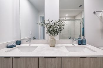 A bathroom with two sinks and a vase with greenery in the middle.