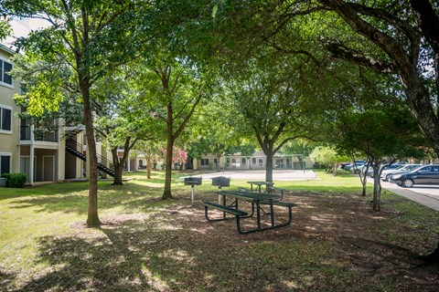 Picnic area at Sedona Springs, Austin, Texas