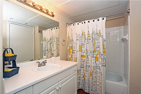 Bathroom at Monterey Ranch, Austin, Texas