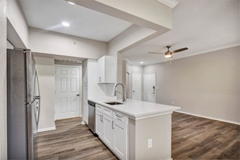 renovated deluxe homes featuring quartz countertops renovated apartment homes in Cedar Park - Photo Gallery 4
