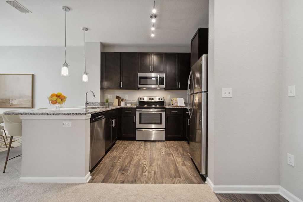 Kitchen with Stainless Steel Appliances at Village at Terra Bella Apartments, FL