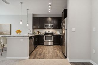 a kitchen with dark cabinets and stainless steel appliances - Photo Gallery