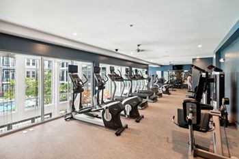 a row of cardio machines in a fitness room with windows