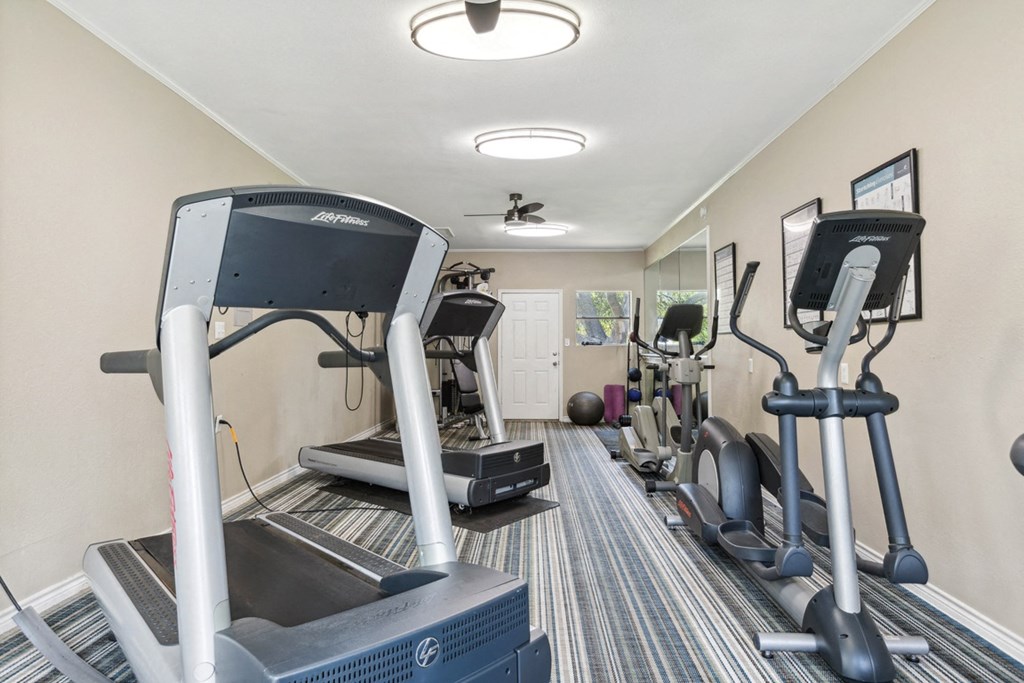 a fitness gym with cardio equipment