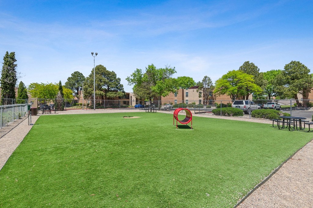a dog park with a green lawn and a tunnel in the middle