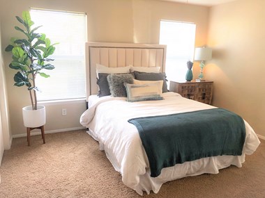 335 Cypress Creek Road 1-3 Beds Apartment for Rent - Photo Gallery 4