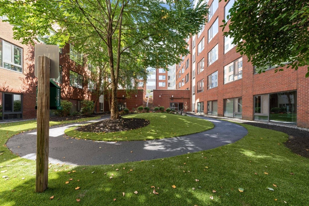 A tree in a grassy area