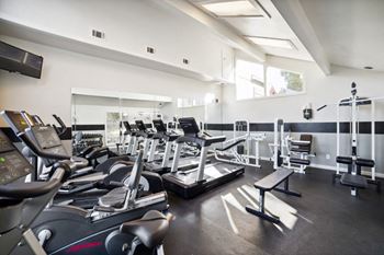 a gym with cardio equipment and weights on the floor