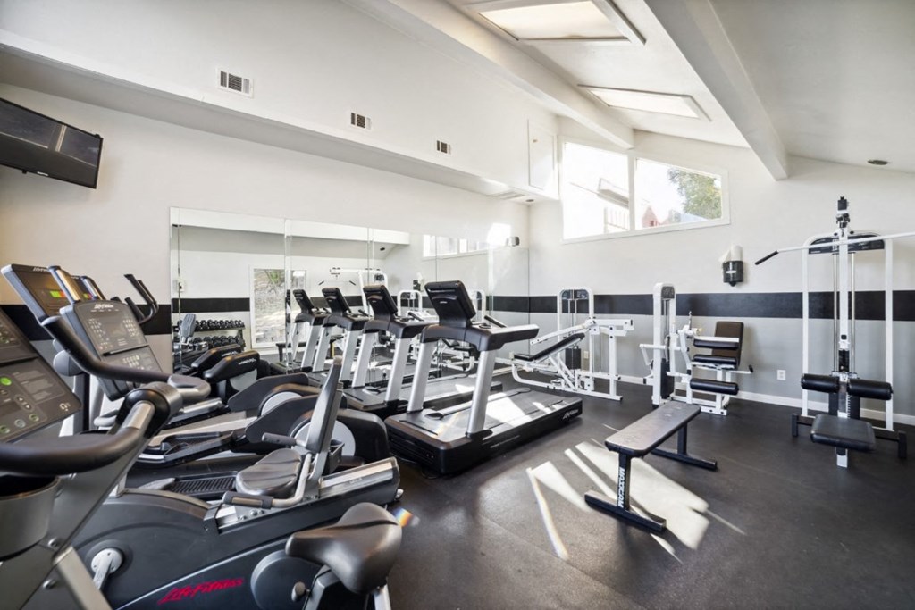The Gym The Gym at Great Hills, Austin, Texas