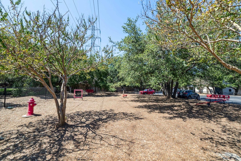 Dog Park  at Madison at the Arboretum, Austin, 78759