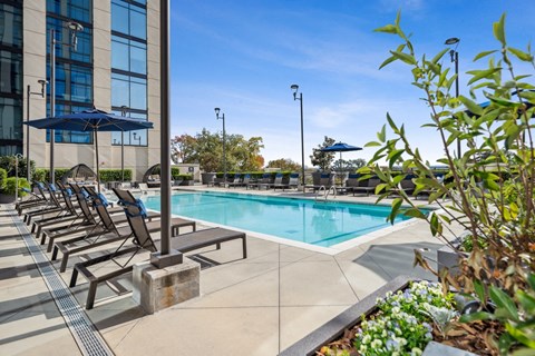 Swimming Pool at The Sutton, Georgia