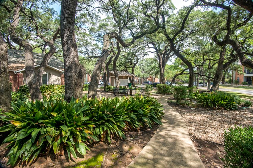 Courtyard Shaded courtyard | Village Oaks - Photo Gallery
