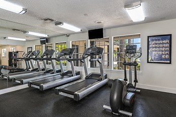Fitness Center with Cardio Machines | Caribbean Isle - Photo Gallery 31