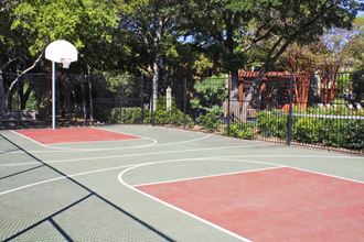 Basketball court | Northland at the Arboretum - Photo Gallery 4