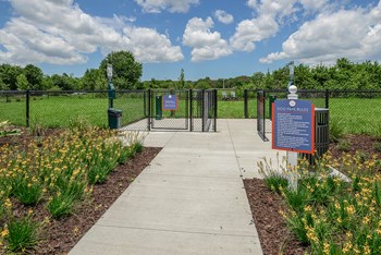 Dog park | Echo Lake - Photo Gallery 15