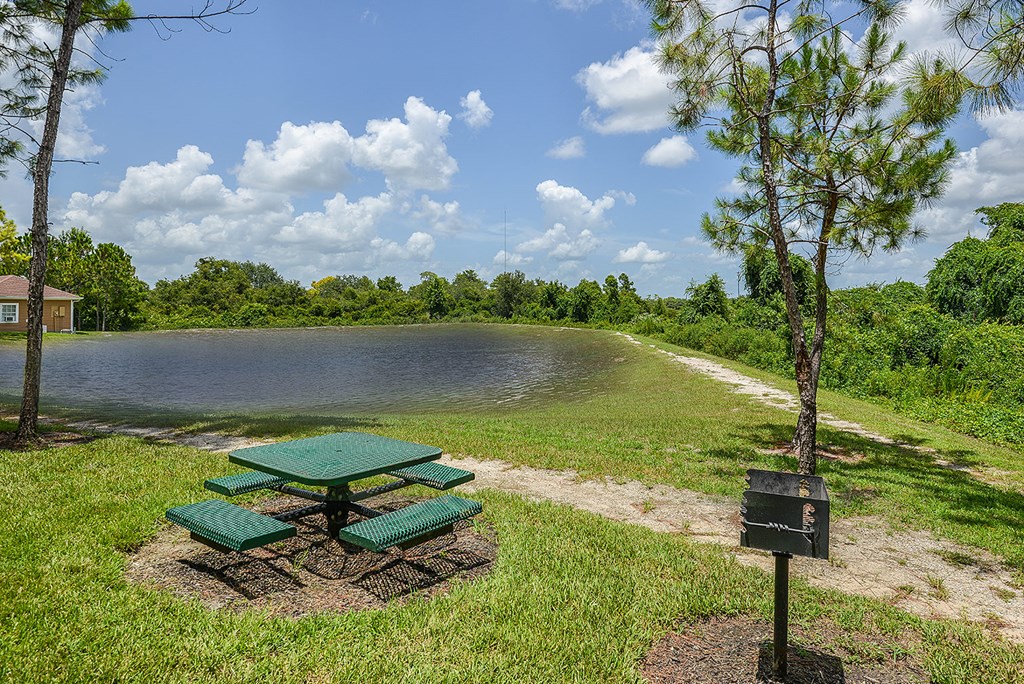 Picnic and grill area at Grandeville on Saxon, Orange City, Florida