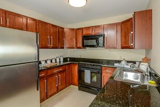 221 Trumbull Street 1-2 Beds Apartment for Rent - Photo Gallery 4