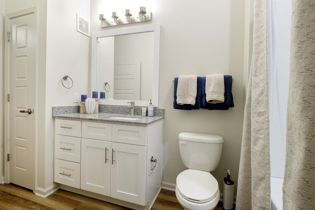 Bathroom at Lofts at Zebulon, Macon, GA, 31210