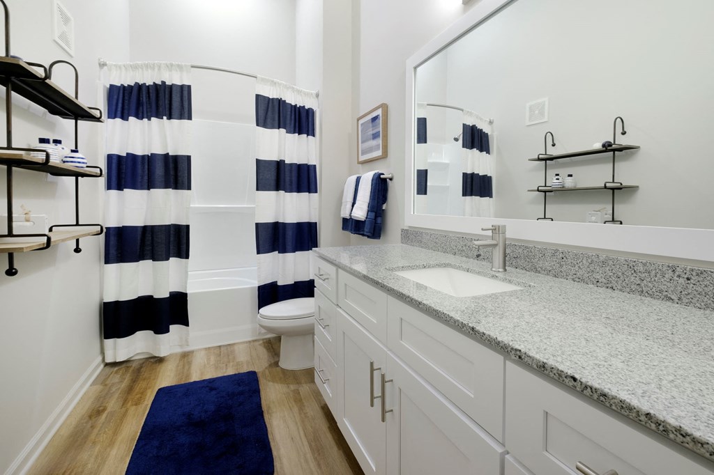 Bathroom at Lofts at Zebulon, Macon, Georgia