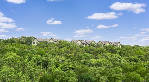 a row of houses sitting on top of a lush green forest