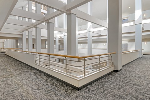 A large open space with a carpeted floor and a series of white columns.