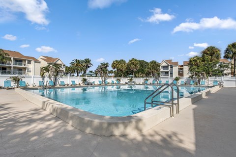 A large outdoor swimming pool surrounded by palm trees and lounge chairs.