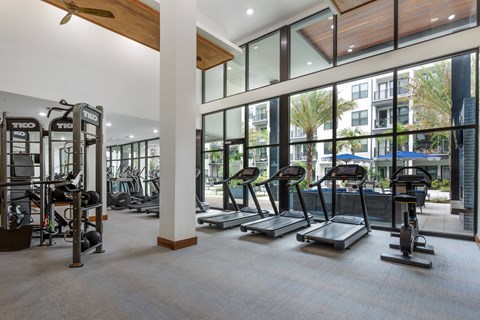A gym with treadmills, elliptical machines, and weightlifting equipment.