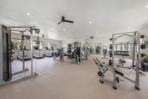 A spacious gym with a variety of equipment.