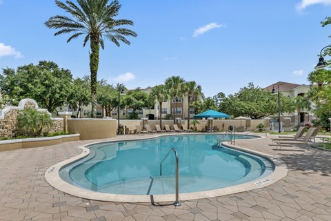 A large outdoor swimming pool surrounded by palm trees and lounge chairs.