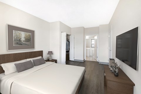 Large bedroom with a walk-in closet and en suite bathroom