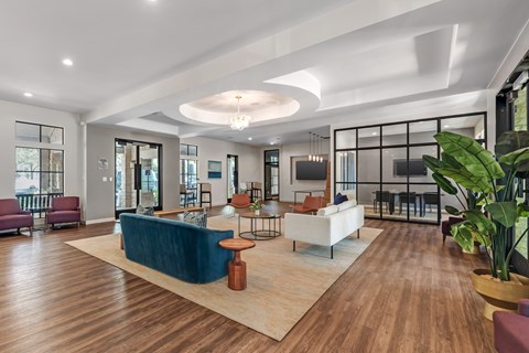 A modern living room with a blue sofa and wooden floors.