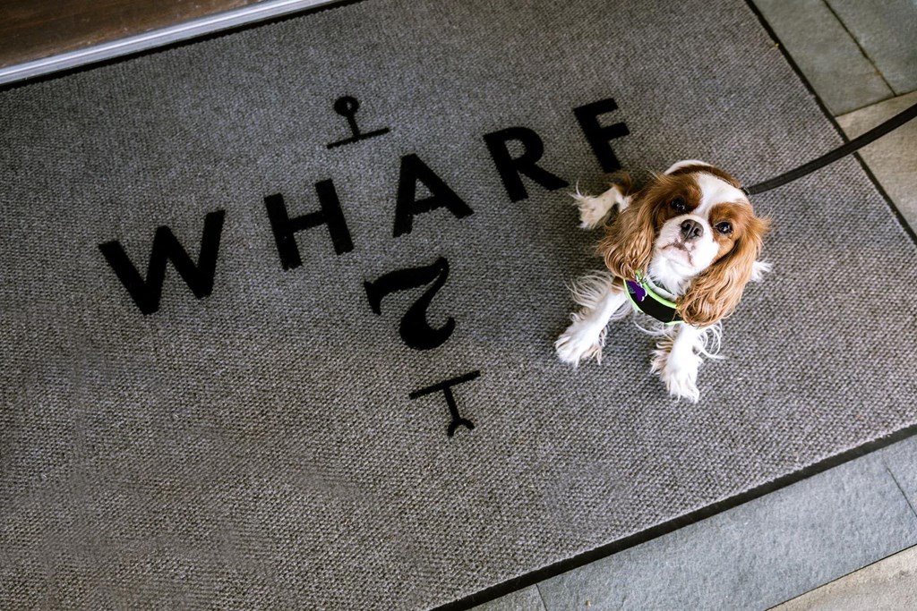 A dog is sitting on a doormat that says "WHARF" at Wharf 7 Apartments, Charleston