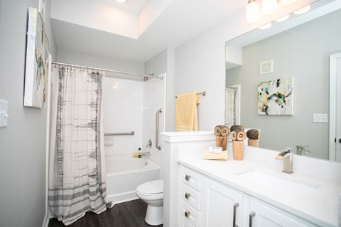Bathroom at Emblem Alpharetta Apartments, Alpharetta