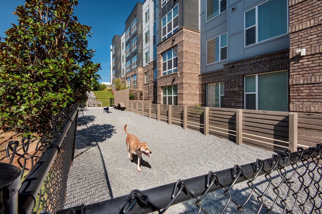 Dog park at Glenn Perimeter, Georgia
