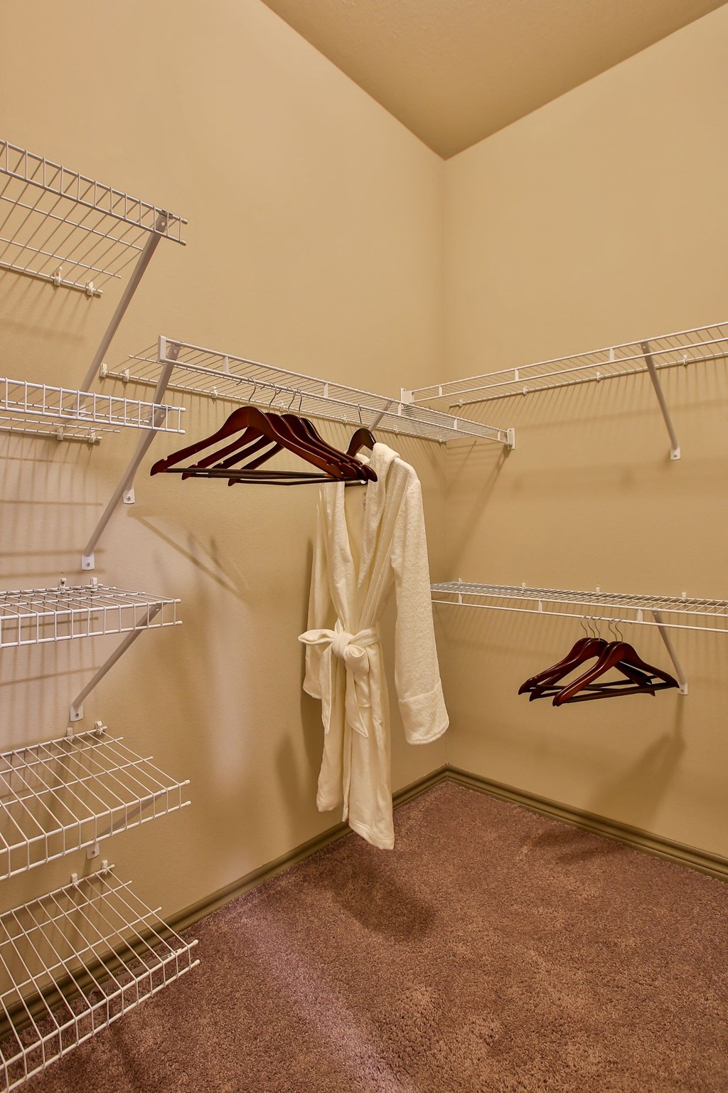Spacious Closet Storage at The Legend, Texas, 76712