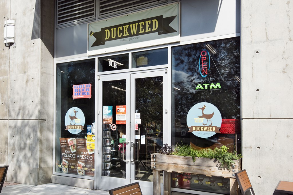 Neighborhood attractions at Element, Florida