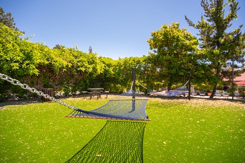 Hammock courtyard at Acacia Gardens, Albuquerque, New Mexico