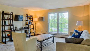 Living room with large windows Living room with large windows | 2 bedroom apartment - Photo Gallery 5