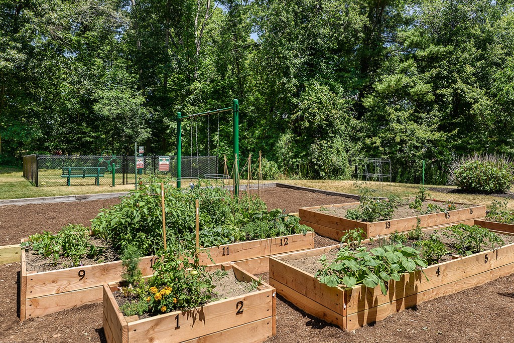 Community Garden at Residences at Westborough Station, Westborough, MA, 01581